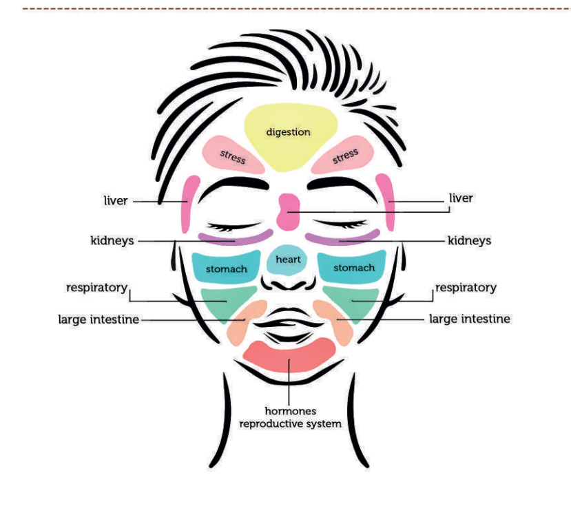 Face Detox Reflexology service